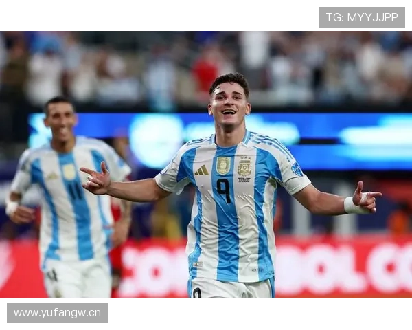 阿尔瓦雷斯：从中锋到二前锋的角色演变分析